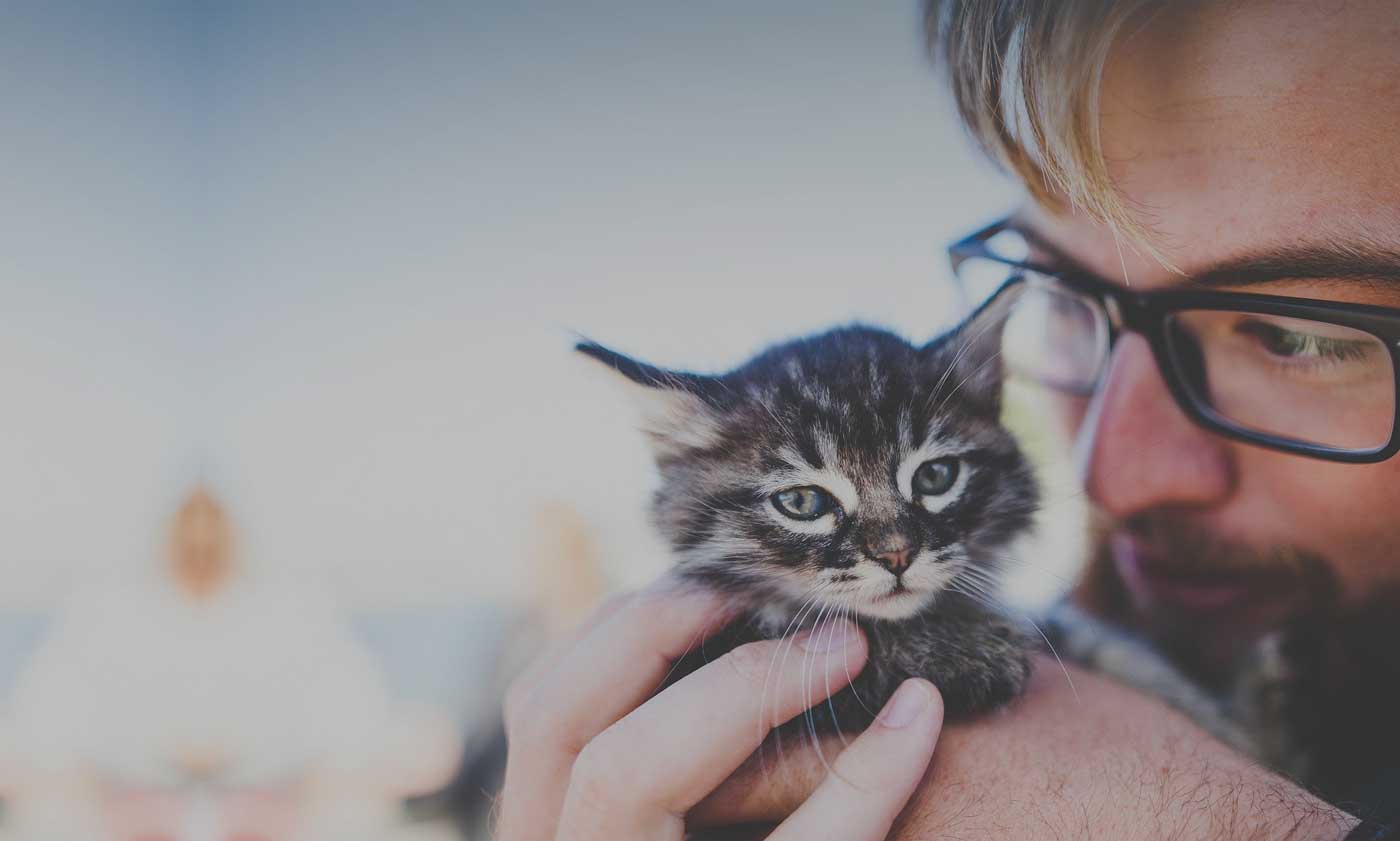  unconditional love is offered by Our Pets